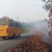 BPBD Temukan Empat Titik Indikasi Batubara Terbakar di Tarakan
