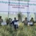 Produksi Padi Tertekan Kemarau, Berau Siapkan Pertanian Modern