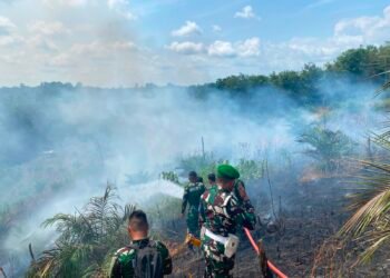 Karhutla Sangsang Dipadamkan, Brigif TP 85 Turunkan Personel Bersama Warga