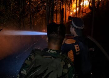 Kebakaran Lahan 4 Hektare di Pantai Amal, Kodim Kembali Turunkan Personel