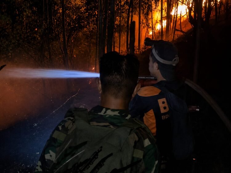 Kebakaran Lahan 4 Hektare di Pantai Amal, Kodim Kembali Turunkan Personel