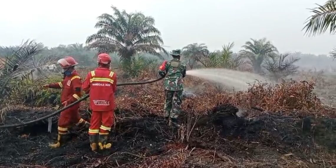 Babinsa Temukan Titik Asap Saat Patroli, Karhutla Muara Muntai Langsung Ditangani