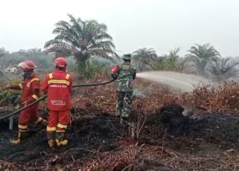 Babinsa Temukan Titik Asap Saat Patroli, Karhutla Muara Muntai Langsung Ditangani
