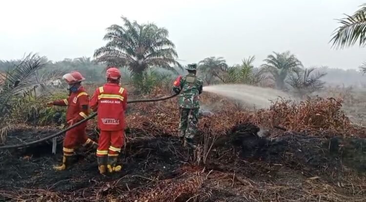 Babinsa Temukan Titik Asap Saat Patroli, Karhutla Muara Muntai Langsung Ditangani