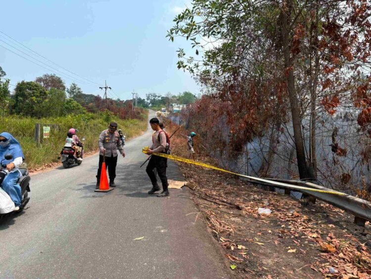 Lahan Karhutla Mengandung Batu Bara, Polisi Pasang Police Line di Pantai Amal