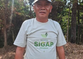 Nama Kadis DLH Bulungan Diduga Dicatut untuk Minta Uang ke Perusahaan
