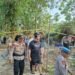 Arena Sabung Ayam Baru Empat Hari, Empat Pemain Diciduk di Juata Laut