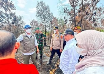 Karhutla Berau Membara di Tengah Kemarau, Menhut Turun Cek Lapangan