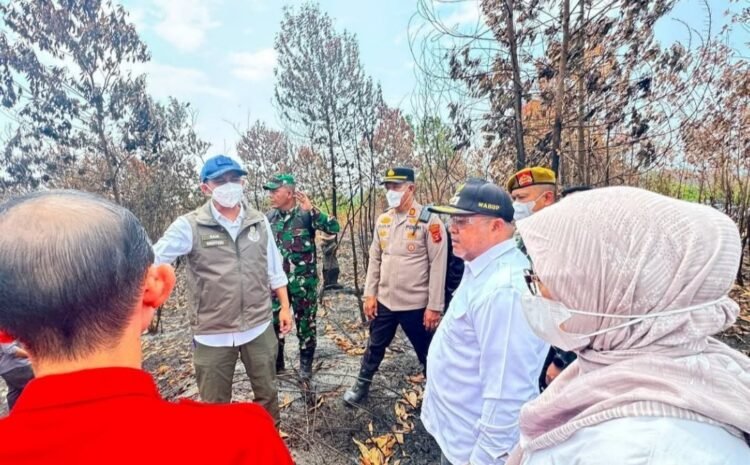 Karhutla Berau Membara di Tengah Kemarau, Menhut Turun Cek Lapangan