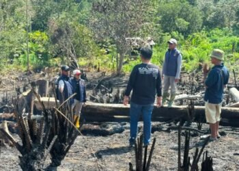 23 Perkara Karhutla Kaltim Masuk Ranah Pidana, Lima Orang Tersangka