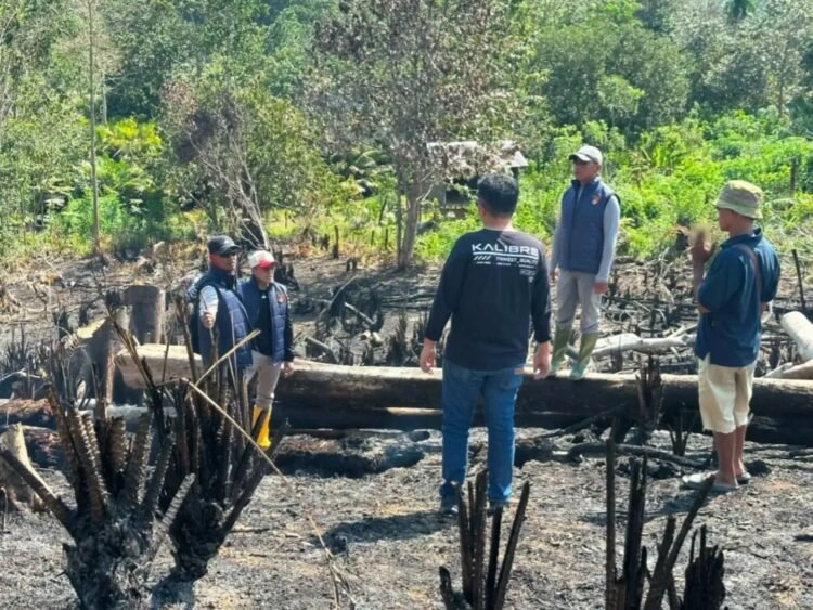 23 Perkara Karhutla Kaltim Masuk Ranah Pidana, Lima Orang Tersangka