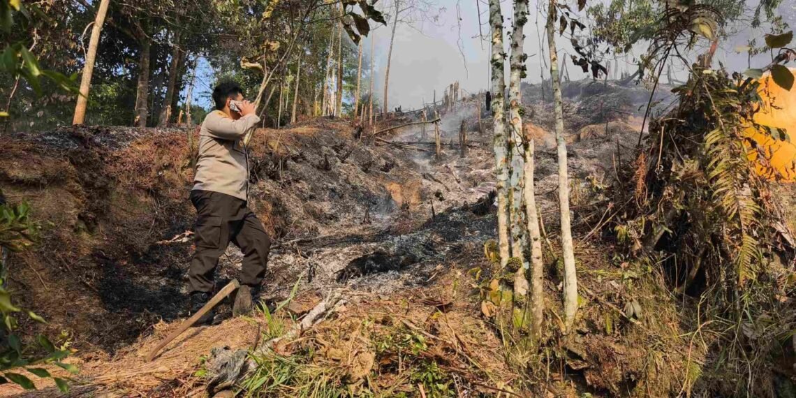 Polisi Dalami Kebakaran Lahan di Juata Kerikil, Pemilik Dimintai Klarifikasi