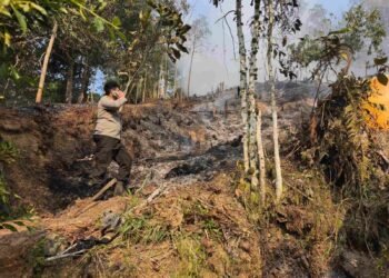 Polisi Dalami Kebakaran Lahan di Juata Kerikil, Pemilik Dimintai Klarifikasi
