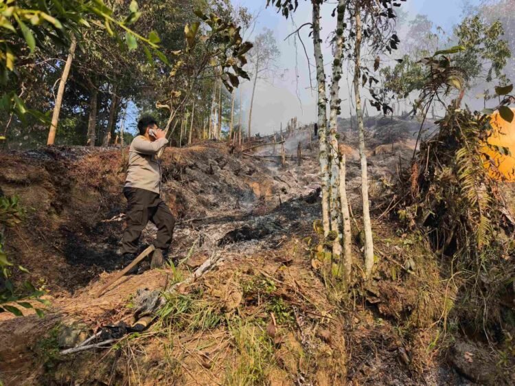 Polisi Dalami Kebakaran Lahan di Juata Kerikil, Pemilik Dimintai Klarifikasi