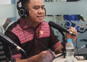 Potensi Jagung Kaltara untuk Pakan Ayam, Ini Gagasan Jufri Budiman
