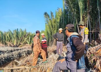 Pasca Insiden di Pertambakan Desa Menjelutung, Warga Tana Lia Diingatkan Waspada Buaya