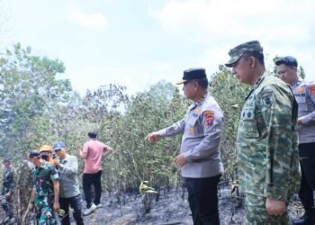Penanganan Karhutla Kaltim-Kaltara Semakin Terkendali, Pangdam: Sinergi dan Respons Cepat Jadi Kunci