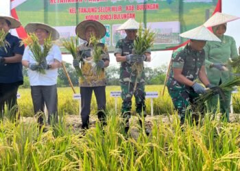 Dandim Dorong IFS, Ketahanan Pangan Dimulai dari Desa