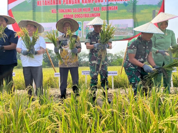 Dandim Dorong IFS, Ketahanan Pangan Dimulai dari Desa
