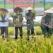 Dandim Dorong IFS, Ketahanan Pangan Dimulai dari Desa