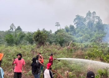 Asap Karhutla Mulai Ganggu Kualitas Udara, Dishut Imbau Warga Waspada 