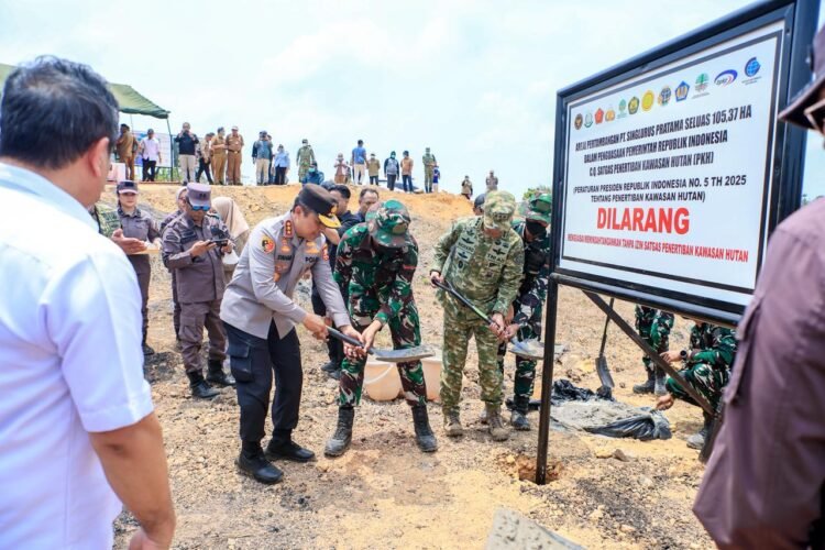 Satgas PKH Pasang Plang di WIUP Singlurus, Kawasan Tahura Samboja Ditertibkan