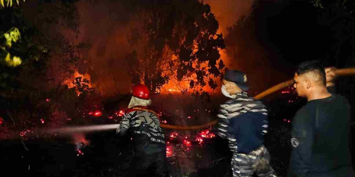 Ditsamapta Polda Kaltara Gerak Cepat Tangani Karhutla di Tanjung Selor