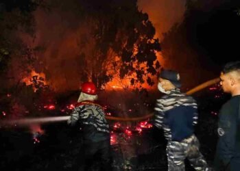 Ditsamapta Polda Kaltara Gerak Cepat Tangani Karhutla di Tanjung Selor