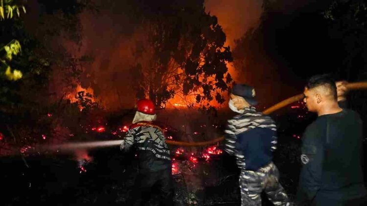Ditsamapta Polda Kaltara Gerak Cepat Tangani Karhutla di Tanjung Selor