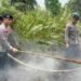 Tak Kenal Lelah, Dansat Brimob Kaltara Turun Langsung Pastikan Karhutla Di Selimau Benar-Benar Padam