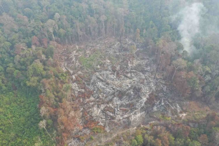 Subdit Tipidter Polda Kaltara Selidiki Dugaan Tindak Pidana Karhutla di Wilayah Bulungan
