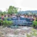 Tanam Pohon Bersama Warga, Kodim 0907/Tarakan Wujudkan TNI Kuat Bersama Rakyat