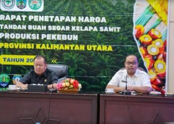 Harga CPO Kaltara Rp15.199, DPRD Dorong Harga TBS Beri Kepastian bagi Pekebun