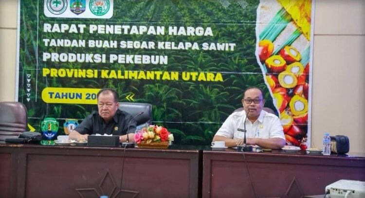 Harga CPO Kaltara Rp15.199, DPRD Dorong Harga TBS Beri Kepastian bagi Pekebun