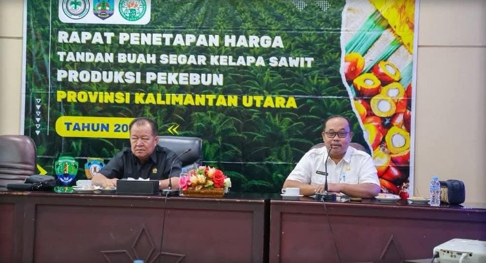 Harga CPO Kaltara Rp15.199, DPRD Dorong Harga TBS Beri Kepastian bagi Pekebun