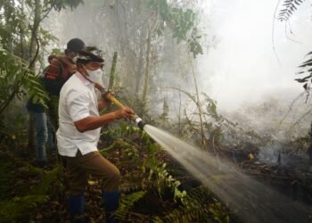 Api Karhutla Kembali Muncul, Gubernur Kaltara Sebut Gambut Sulit Diprediksi