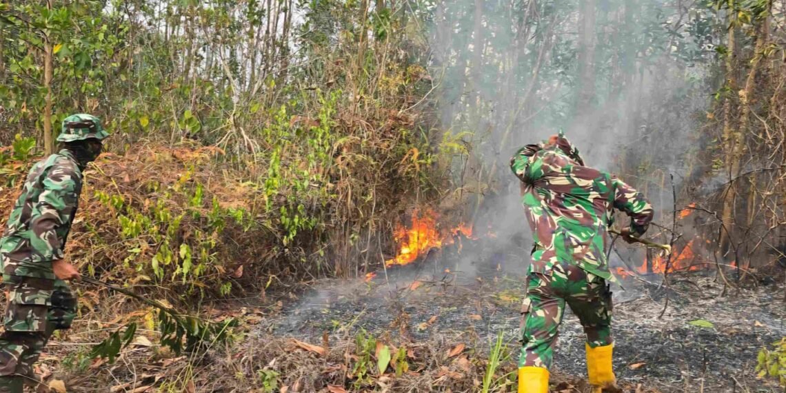 Karhutla Dekat IKN Kembali Muncul, Helikopter Caracal Dikerahkan