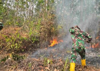 Karhutla Dekat IKN Kembali Muncul, Helikopter Caracal Dikerahkan