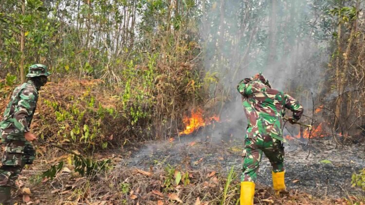 Karhutla Dekat IKN Kembali Muncul, Helikopter Caracal Dikerahkan