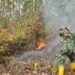 Karhutla Dekat IKN Kembali Muncul, Helikopter Caracal Dikerahkan