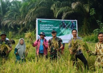 Yonif TP 880/Banuanta Panen Perdana, Dorong Produktivitas Lahan di Desa Apung