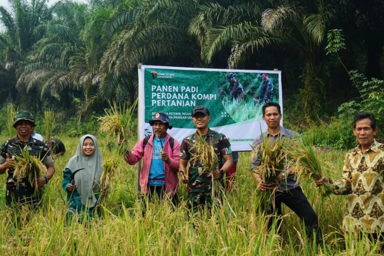 Yonif TP 880/Banuanta Panen Perdana, Dorong Produktivitas Lahan di Desa Apung