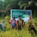 Yonif TP 880/Banuanta Panen Perdana, Dorong Produktivitas Lahan di Desa Apung
