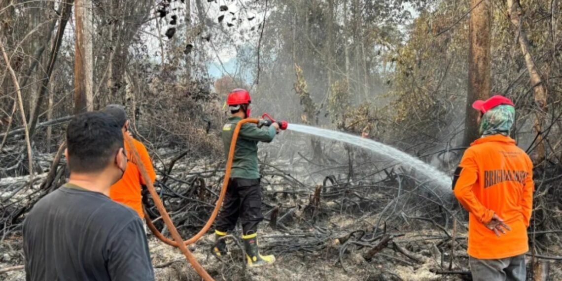Karhutla Kaltara Capai 2.639,99 Hektare, Bulungan Wilayah Terparah