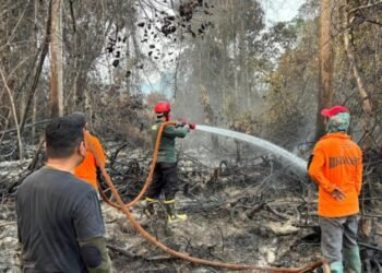 Karhutla Kaltara Capai 2.639,99 Hektare, Bulungan Wilayah Terparah