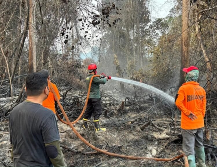 Karhutla Kaltara Capai 2.639,99 Hektare, Bulungan Wilayah Terparah