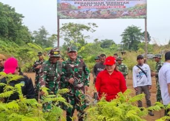 Gerakan 1 Juta Pohon, TNI dan Warga Hijaukan Muruk Rian