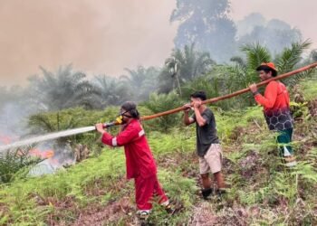 Dishut Perkuat Kesiapsiagaan, 282 Hotspot Terdeteksi hingga September 