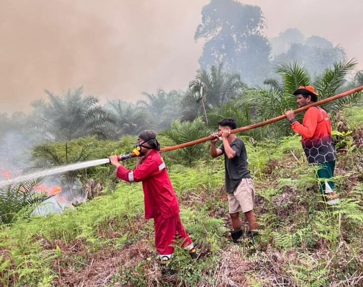Dishut Perkuat Kesiapsiagaan, 282 Hotspot Terdeteksi hingga September 