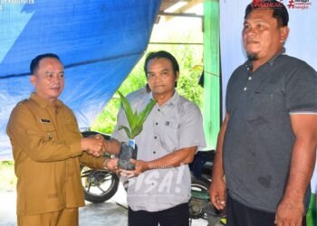 Kakao Bulungan Bisa Capai 1 Ton per Hektare, Produksi Petani Baru 300–400 Kg